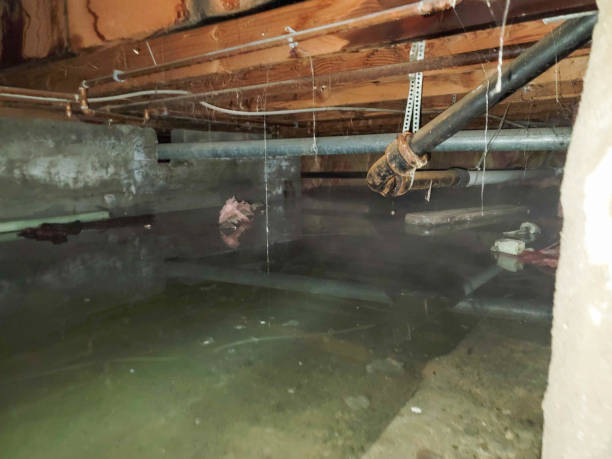 Best Flooded house restoration  in Concord, AL