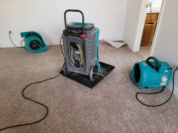 Best Water damage cleanup near me  in Concord, AL