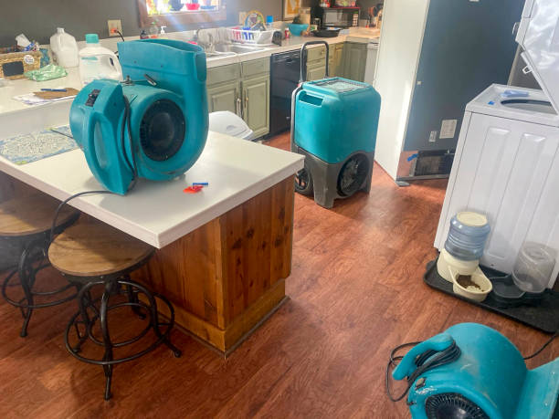 Best Professional water damage repair  in Concord, AL