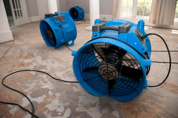 Best Emergency water extraction  in Concord, AL