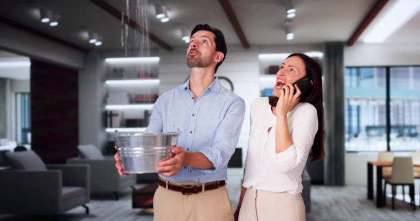 Best Water damage repair service  in Concord, AL
